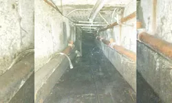 Pericol în subsolurile blocurilor din Iași Muncitorii au rămas îngroziți de ce au găsit Pot fi riscuri epidemiologice 8211 FOTO