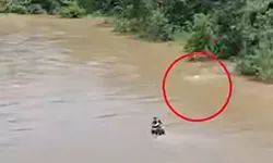 Momentul în care un pompier s-a aruncat în râu pentru a-i salva pe cei trei tineri luați de viitură Ce s-a întâmplat înainte să ajungă la ei