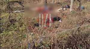 Imagini de coșmar O femeie a fost devorată de câini la Vișan. Nu a apucat să ceară ajutor 8211 EXCLUSIV