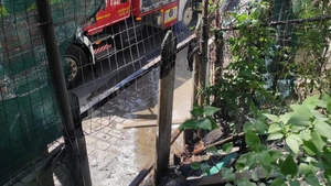 Incendiu pe strada Eternitatea! Un gard a fost cuprins de flăcări