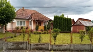 Fapta interzisă pentru românii care stau la curte! Pe lângă amendă, s-a introdus și pedeapsa cu închisoarea! 