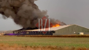 Incendiu în comuna Țuțora! Flăcările au cuprins o fermă de porci