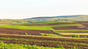 Proprietarii care dețin mai mult teren decât figurează în acte! Cum pot intra legal în posesie 