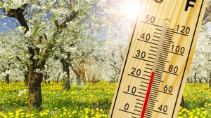 Schimbări drastice de temperatură săptămâna aceasta. Frig, ploi și ninsori în weekend, apoi temperaturile vor urca la 27 de grade Celsius