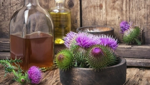 Ce beneficii și contraindicații are uleiul de armurariu? Iată cum trebuie consumat corect!