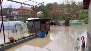 Ploile și vântul au inundat curți și au rupt copaci la Iași. Pompierii au intervenit 8211 UPDATE