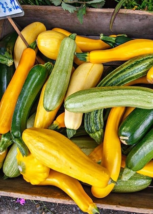 Dovlecelul – Calorii, beneficii și utilizări