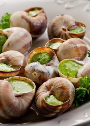 Prepararea melcilor de grădină. Iată ce trebuie să știi înainte de a-i aduce în farfurie!