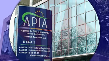 Angajații de la ApaVital vor primi uniforme de lucru în valoare de aproape 300.000 de euro