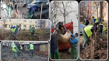 Spațiile verzi din Iași vor arăta complet diferit în această primăvară. Angajații de la Servicii Publice au început lucrările în 8 cartiere din municipiu 8211 FOTO