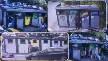 Vandalismul a scăpat de sub control în Iași Punctele gospodărești sunt distruse de oamenii care caută PET-urile în containere Au început să intre prin fanta de la gunoi 8211 FOTOVIDEO