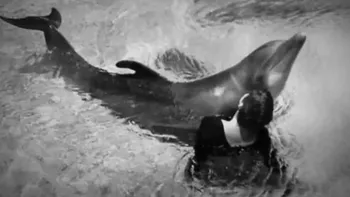 Experiment ciudat marca NASA Femeia care a avut relații sexuale cu un delfin. Cum au decurs cercetările