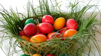 Ce să faci cu ouăle rămase de la Paște. Top cele mai bune rețete