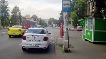 Polițiștii din Iași sunt sesizați zilnic la astfel de situații. Deși sunt aplicate zeci de amenzi cetățenii nu se învață minte
