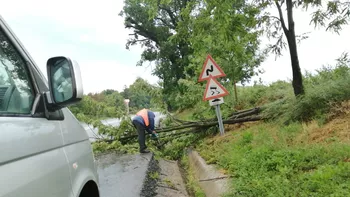 DRDP Iași intervine pentru îndepărtarea copacilor doborâți de vântul puternic pe DN 28 limită cu jud. Neamț 8211 Strunga