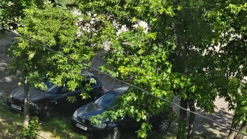 Atenție șoferi! Nu claxonați pe stradela Grădinari. Pe un ieșean l-a luat somnul pe trotuar