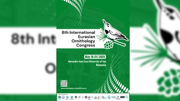 Iașul devine capitala ornitologiei eurasiatice: Peste 50 de specialiști internaționali vin la IEOC 2025