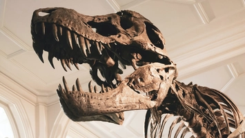 Tumoarea unui dinozaur descoperit în România ar putea schimba tratamentele împotriva cancerului! O descoperire revoluționară a cercetătorilor britanici