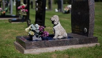 A apărut un nou tip de cimitire în România! Tot mai mulți cetățeni vor să dețină un loc