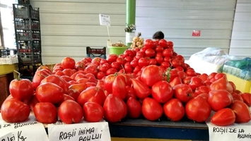 Secretul murdar al roșiilor cu moț! Pericol pentru sănătatea românilor
