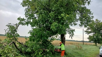 Intervenție a echipelor Secției Drumuri Naționale Iași pentru îndepărtarea arborilor doborâți de vântul puternic