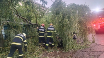 Intervenție în desfășurare pentru degajarea unui copac căzut în municipiul Iași