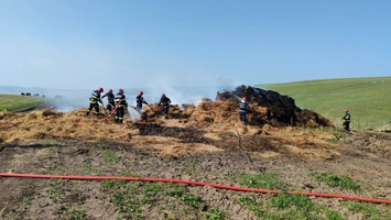 Incendiu în localitatea Boureni, comuna Balș. Pompierii intervin