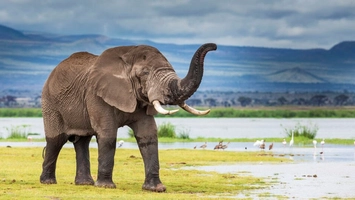 Viața unei femei de 49 de ani s-a schimbat complet după o excursie în Thailanda! „O întâlnire neașteptată mi-a oferit a doua șansă”