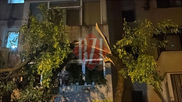 Alertă în municipiul Iași! Un arbore a căzut peste două autoturisme pe strada Hlincea