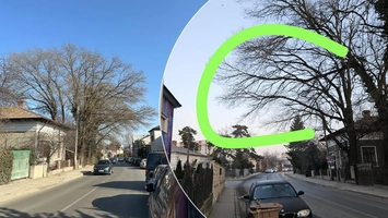 Pericol pe strada Sărărie din Iași! Un bărbat refuză să i se taie copacul din curte, deși poate să provoace o tragedie: „La un vânt, bucata aia se înfige într-o mașină”