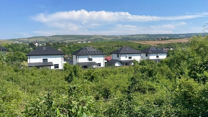 În acest loc din Iași este raiul vulpilor. Locuitorii din zonă spun că sunt terorizați de câteva săptămâni. „Doarme pe terasa casei noastre. În urmă cu două nopți, erau două”