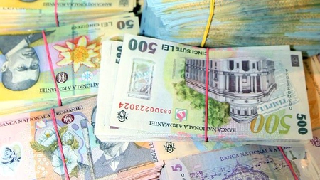 Averile consilierilor locali din Pascani: case, terenuri, bani, valuta si credite - FOTO