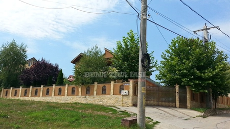 Palatul unde traieste o celebra familie din Iasi. De la cel mic la cel mare toti sunt directori - FOTO