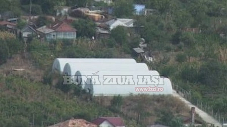 Culisele unei afaceri de succes! Iata cu ce inlocuiesc iesenii carnea - FOTO, VIDEO