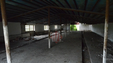 Fermele Avicola Iasi sunt iarasi scoase la vanzare in cadrul unor licitatii publice