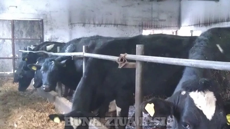 Culisele celei mai noi afaceri de succes din Iasi - FOTO
