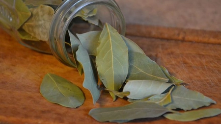 Cum sa folosesti frunzele de dafin ca sa scapi de insectele din casa. Ce faci cu ele