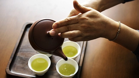 Rezistența la <em class='ep-highlight'>antibiotice</em>, tratată cu un extract de ceai verde