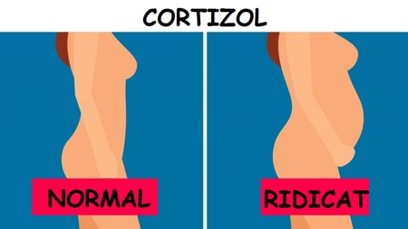 Cinci mituri despre hormoni și cum îți afectează ei organismul