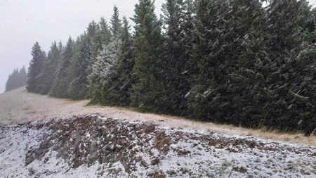 Cand vine iarna? Prognoza meteo pentru saptamana aceasta