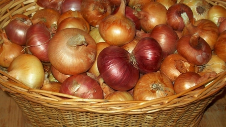 Ceapa și usturoiul protejeaza femeile de cancerul de sân