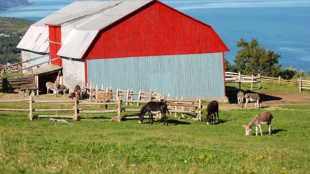 Ieșenii au depus proiecte de sute de mii de euro în cadrul GAL-ului Rediu-Prăjeni