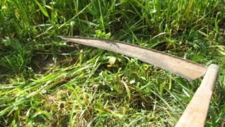 Lăsat în libertate după ce ar fi încercat să îl decapiteze cu coasa! Tărăboiul a pornit de la un... cal!