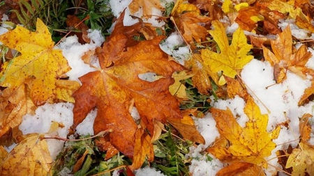 Prognoză meteo pentru următoarele trei zile