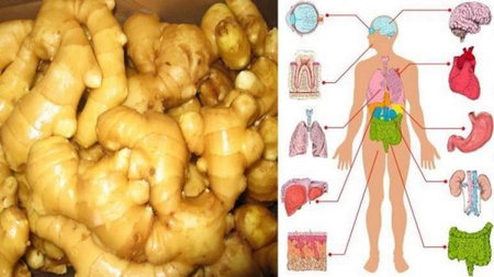 Ce se întâmplă în corpul tău dacă mănânci ghimbir zilnic timp de o lună