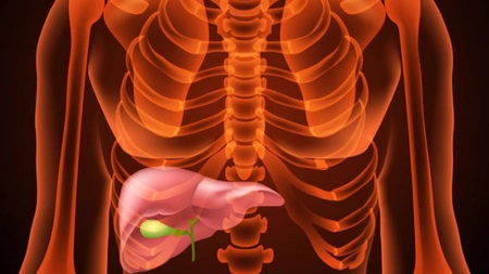 Cele şapte simptome că ai probleme cu fierea