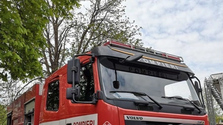 Teamă printre ieșenii din zona Sărărie, din cauza unui copac