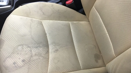 Excremente de pasari pe mașina ta? Elimina-le cu acest truc!