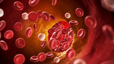 Trigliceride: tot ce trebuie să știți despre aceste lipide