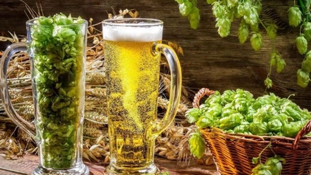 De ce e bine să bei un pahar de bere după o masă copioasă. Cum influențează digestia
